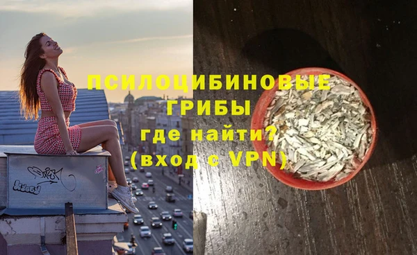 индика Богданович