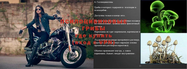 герыч Беломорск